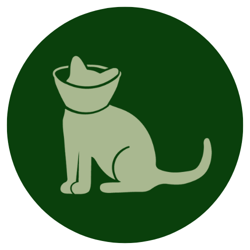 Pet Surgery Icon