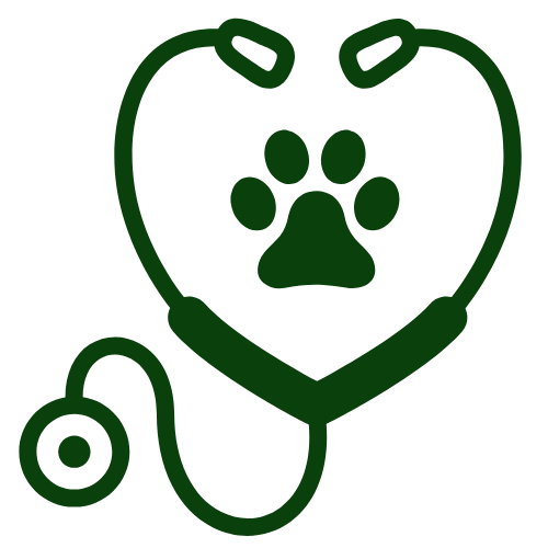Veterinary Care Icon