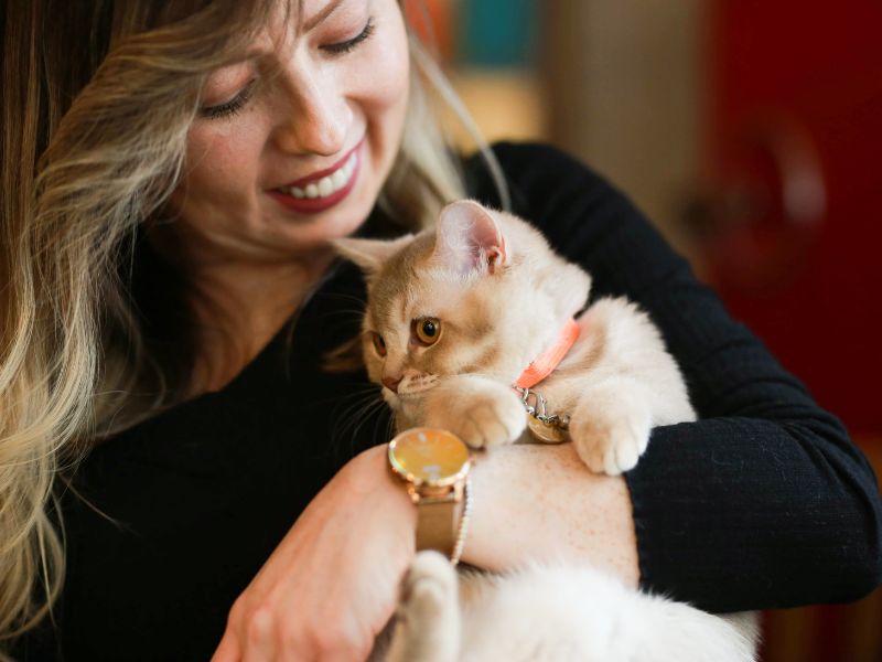 a person holding a cat with a watch on their wrist