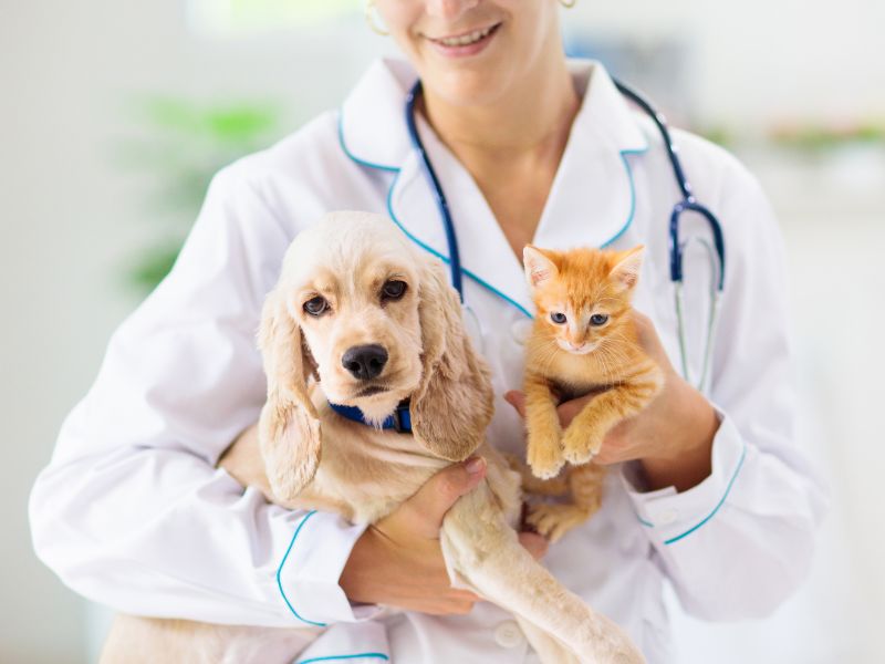 a person in a white lab coat holding a dog and a cat