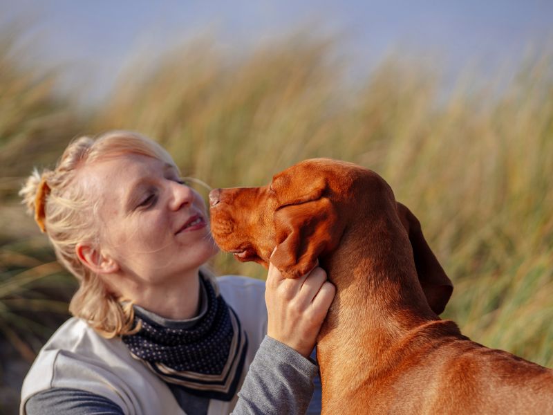 a person is petting their dog on the beach