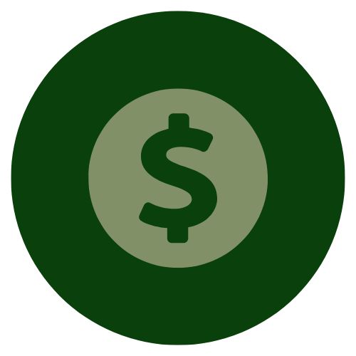cash icon