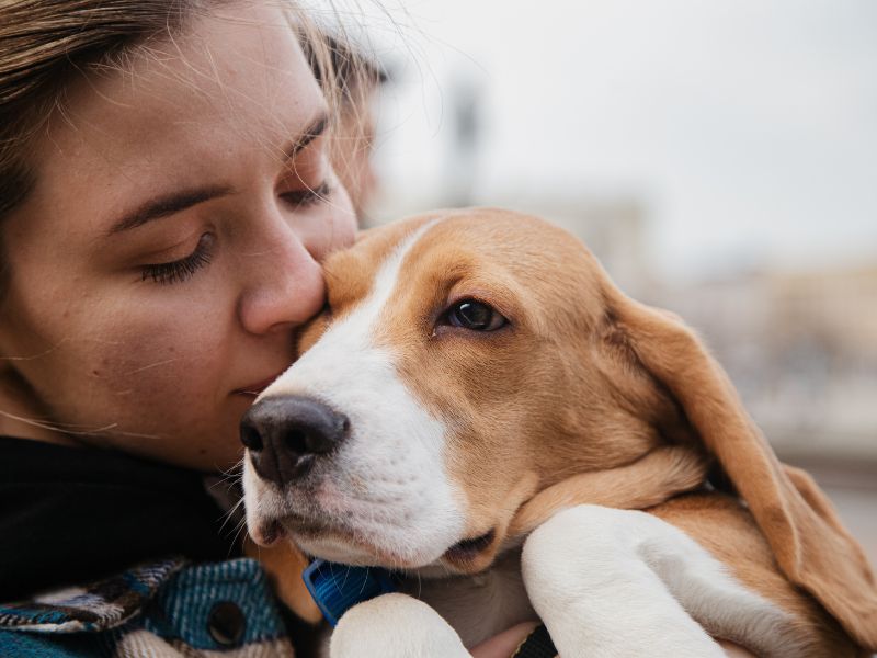 is holding a beagle dog in arms