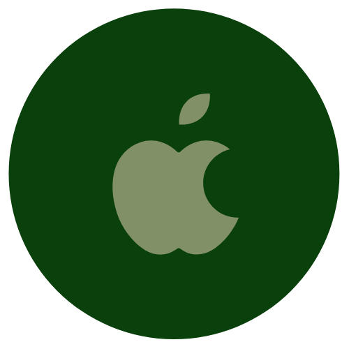 Apple pay icon